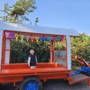 내리농장 | 🍊제주도 아이랑 가볼 만한 곳, 최남단체험감귤농장 (모노레일, 흑돼지 먹이주기 이색 체험)