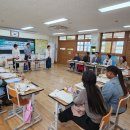삼상초 이미지