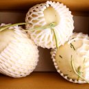 선이네농장 이미지