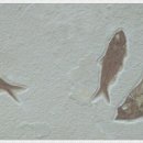 부산해양자연사박물관 이미지