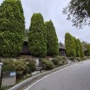 숲속의 집 이미지