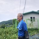 작금(여) 이미지