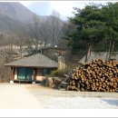 황토마을숯가마 Daum카페