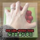 금빛뷰티학원 | 투썸 두초생 솔직후기, 두바이 스초생 작지만 추천하는 이유