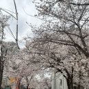 4월을 변기에 넣고서 내려.
