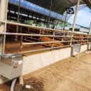 우신축산 이미지