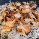 아름다움을먹다 이미지