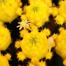 종성농장 이미지