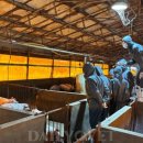 일선농장 이미지