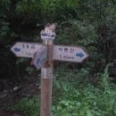 버스정류장 07-184 이미지