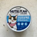 뉴트리플랜 습식 캔 1년 급여 후기 고양이 캔간식 나이 유리너리 추천 (고양이 요로결석)