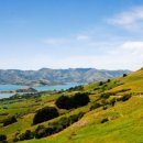 아카로아 이미지