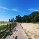 황금언덕 이미지