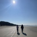 몽산포 해변 이미지