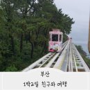 비오날 친구랑 뚜벅이 부산여행기 후기