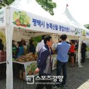 차동농장 스포츠경향