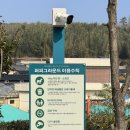 퍼피 그라운드 이미지