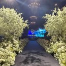 공항 축구장 | 마곡 보타닉파크 27년 상반기 투어후기 (견적공유o) l 강서 밝은홀 어두운홀 밥정말맛있는 교통좋은 웨딩홀