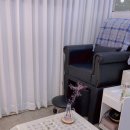 네일다슬 이미지