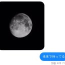 행피나 이미지