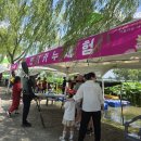 서동푸드 | 부여서동연꽃축제 푸드트럭, 먹거리 등 후기