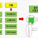 라라A 네이버블로그