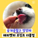 해피업 | 슬개골탈구 영양제 고르고 계시다면 해피펫피 조인트 더블업
