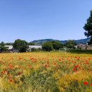 다래목장 이미지