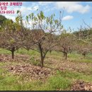 신안리경로당 이미지