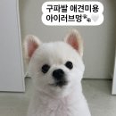 아이러브멍 이미지