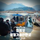 관음송 | 청령포 여행 후기: 영월 가볼 만한 곳 단종 유배지 배시간 및 입장료 꿀팁!