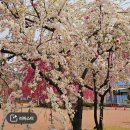 도화보건지소 이미지