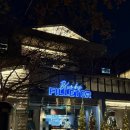 [서울/논현동]논현동 데이트코스 다이닝바 “블루바이필레터” 주차,예약,콜키지
