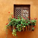 사시마을 이미지