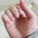 2024.1.15~31 보름일기.. 늦어서 미안하다고 하면 용서해줄 사람이 있을까 ?