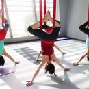 요가소도구필라테스D 이미지