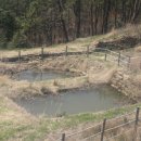 광양 마로산성 이미지