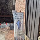 가평우리마을청소년수련원 | 원주 캠핑장 추천 피노키오숲 즐길거리 가득한 애견동반 캠핑장!