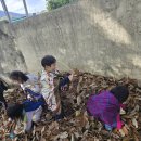 마법에 걸린 개구리왕자 이미지