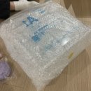 렙타일케이지 | 구미 파충류 박람회 렙타일페어 드길샵 피그미다람쥐 분양 후기