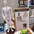일산바디관리 일산피부관리 일산에스테틱 김도은바디연구소 꼼꼼한 상담과 맞춤 관리 후기