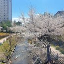 광교호반베르디움옆(광교방향)
