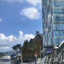 320 펫살롱 이미지