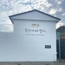 율리목장 | 아이와 말 먹이주기부터 승마체험까지! 제주 목장카페 밭디 솔직후기