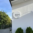 올리비아스테이 이미지