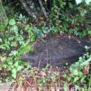 추정2리 이미지