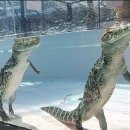 신성목욕탕 이미지