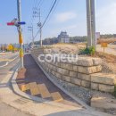 주내로 티스토리