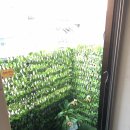 예술의 전당 앞 이미지