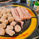신마포갈매기 이미지